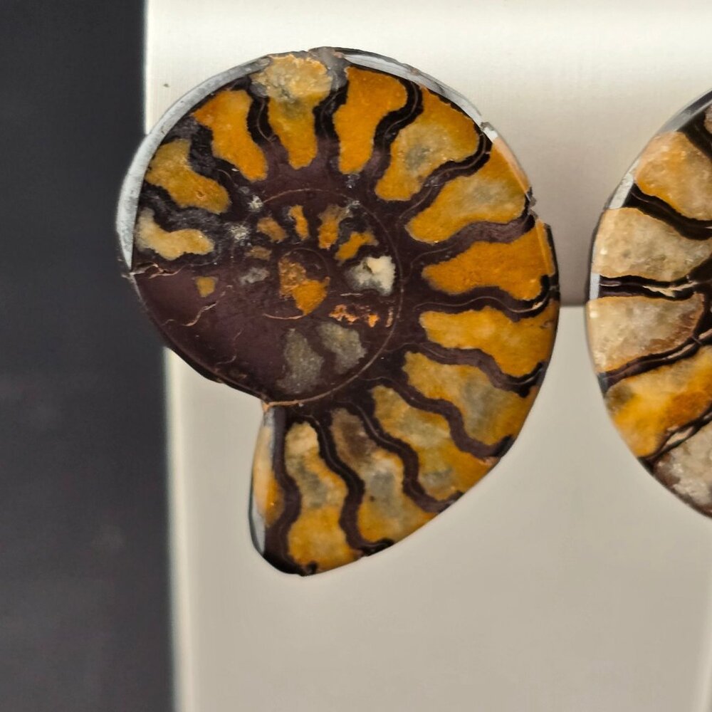 Rare Vendome Ammonite Fossil Clip-On Earrings Yellow & Brown Vintage READ - Picture 3 of 8